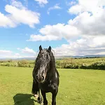 Apple Tree Semesterbostad *