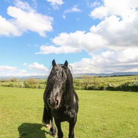 Apple Tree Feriehus *